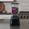 Blendtec blender